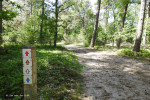 Sallandse Heuvelrug